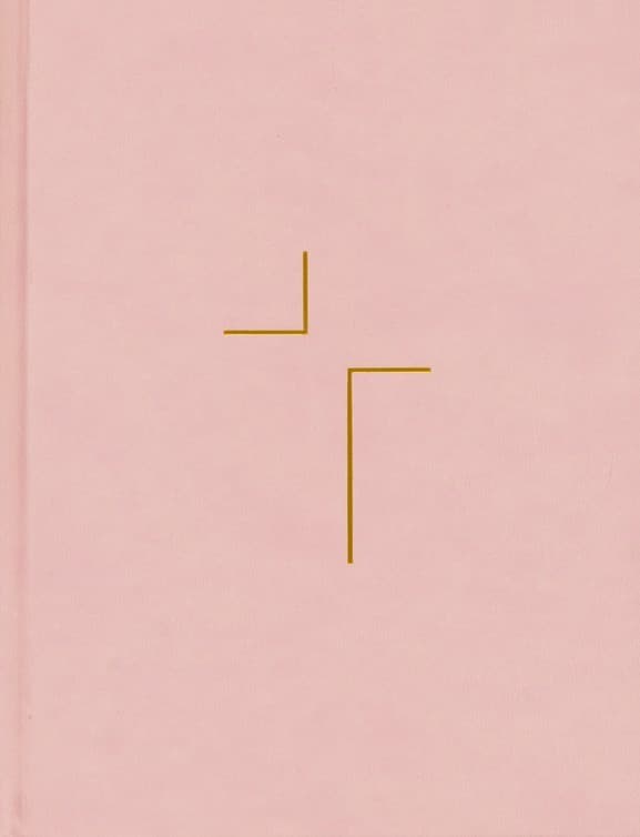 The Jesus Bible NIV Edition Leathersoft - 2