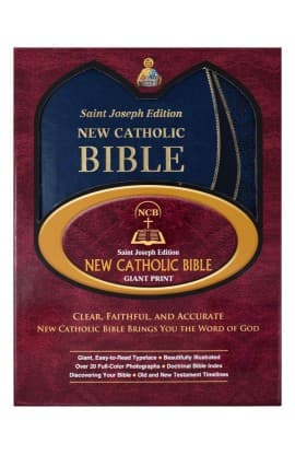 The New Catholic Bible NCB Giant Blue 617/19BLU thumbnail 1