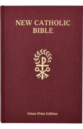 The New Catholic Bible NCB Giant HC 617/67 thumbnail 2