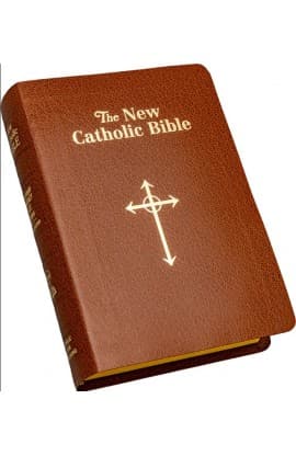 The New Catholic Bible NCB Brown Simulated Leather Tan 31.00 606/10BN thumbnail 3