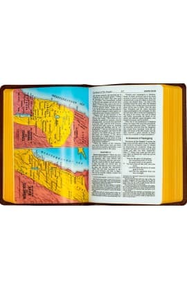 The New Catholic Bible NCB Brown Simulated Leather Tan 31.00 606/10BN thumbnail 4