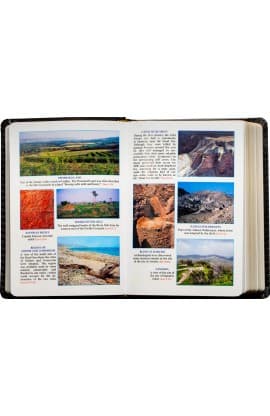 The New Catholic Bible NCB Black Dura-Lux Gold 38.00 606/19B thumbnail 4