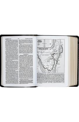 The New Catholic Bible NCB Black Dura-Lux Gold 38.00 606/19B thumbnail 5