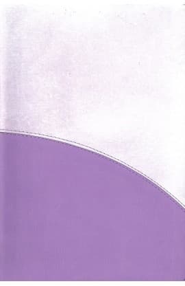 CSB Rainbow Study Bible Purple Leathertouch thumbnail 1