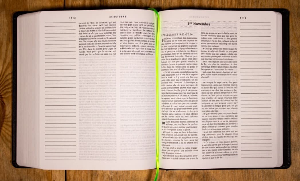 LA BIBLE EN 1 AN NOUVEAU FRANCAIS COURANT SB1008 - 2