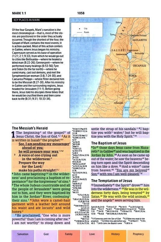 CSB Rainbow Study Bible Turquoise Leathertouch - 4
