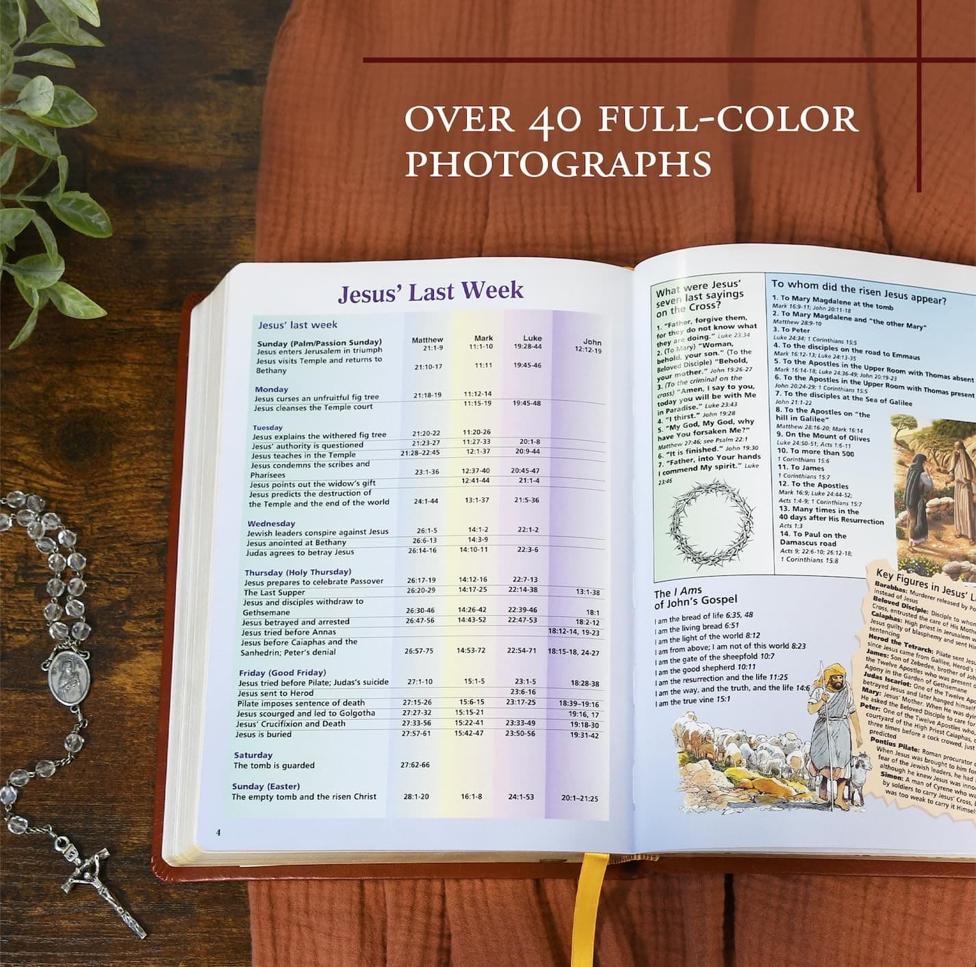 THE NEW CATHOLIC BIBLE LARGE TYPE EDITION BROWN - 5