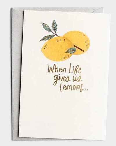The Struggle Bus When Life Gives Us Lemons - 1