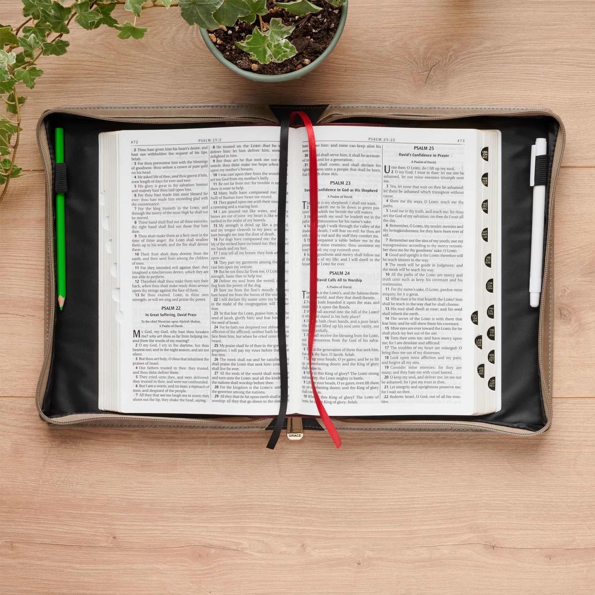 BIBLE COVER FASHION TAUPE AMAZING GRACE ISA 53:5 - 5