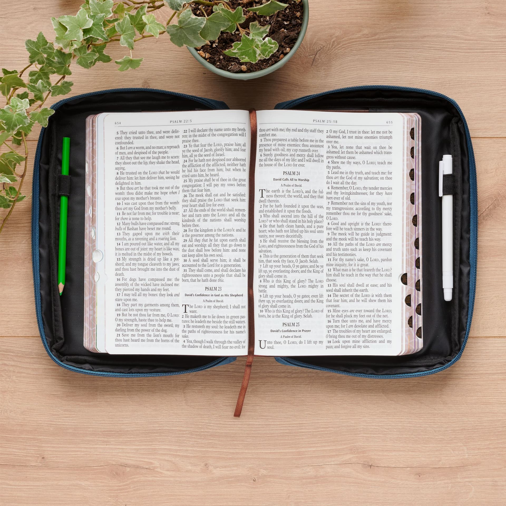 BIBLE COVER FASHION BLUE ADVENTURE WITH JESUS PS 16:11 - 5