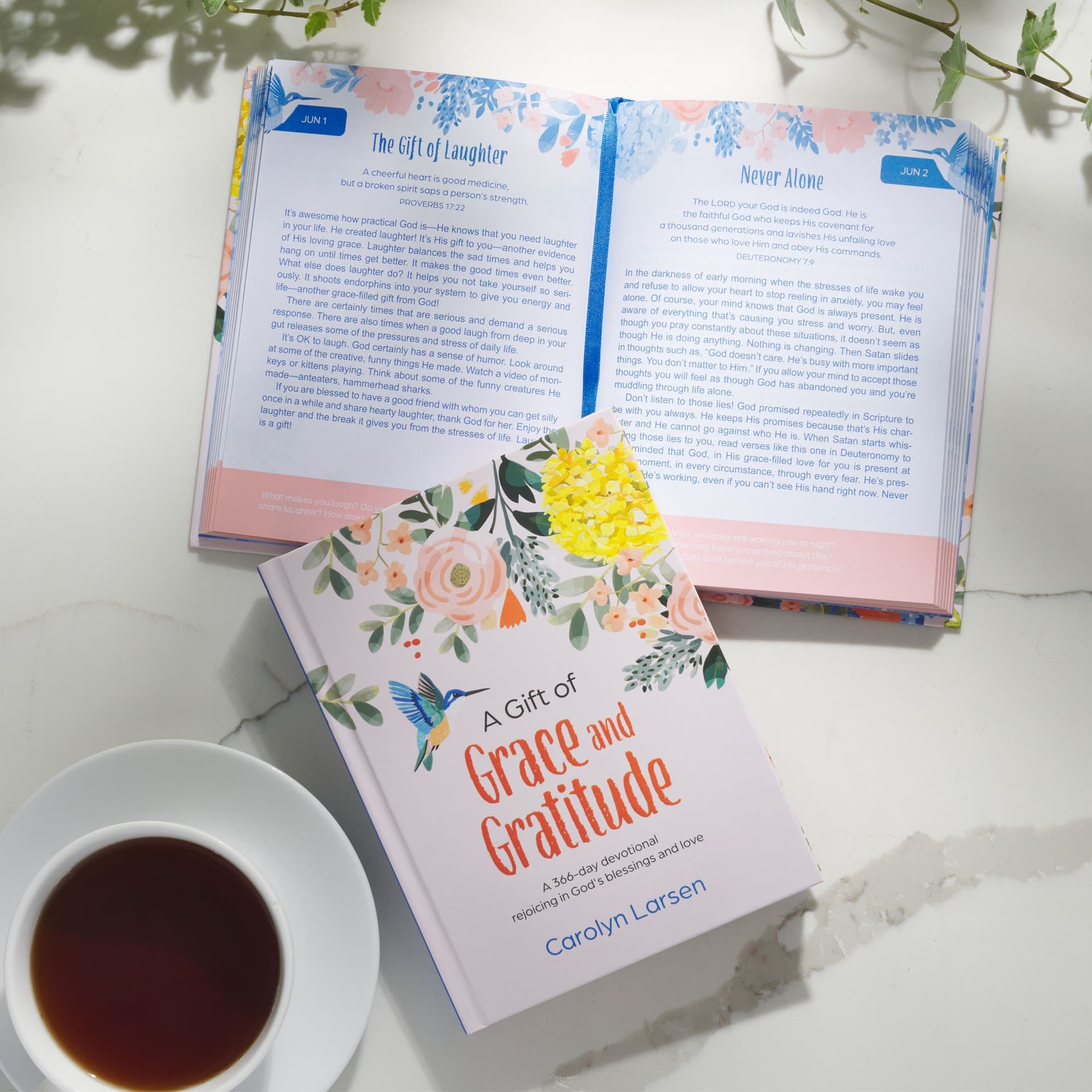 DEVOTIONAL A GIFT OF GRACE AND GRATITUDE HARDCOVER - 5