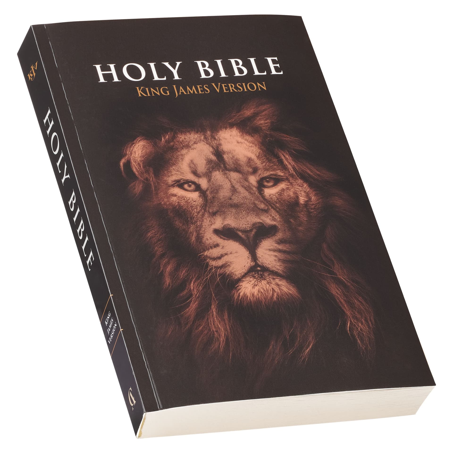 KJV BIBLE OUTREACH SOFTCOVER LION - 3
