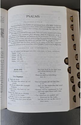 GNT BIBLE Black Leather 123021 thumbnail 4