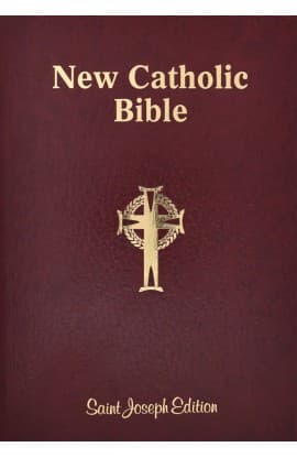 THE NEW CATHOLIC BIBLE NCB GIANT FLEXIBLE 617/04 thumbnail 2