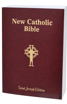 THE NEW CATHOLIC BIBLE NCB GIANT FLEXIBLE 617/04 thumbnail 3