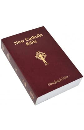 THE NEW CATHOLIC BIBLE NCB GIANT FLEXIBLE 617/04 thumbnail 4