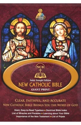 THE NEW CATHOLIC BIBLE NCB GIANT FLEXIBLE 617/04 thumbnail 1