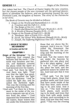 THE NEW CATHOLIC BIBLE NCB GIANT FLEXIBLE 617/04 thumbnail 5