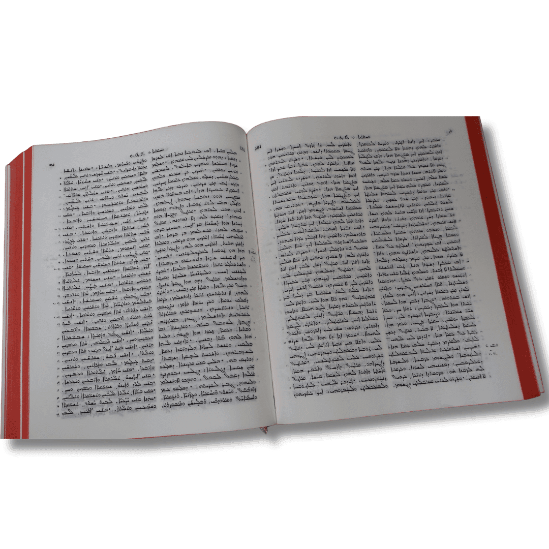 SYRIAC BIBLE 63DC - 4