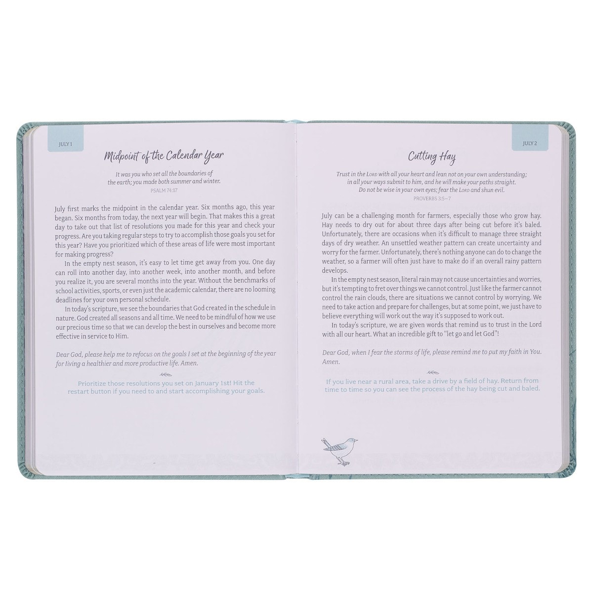 Devotional Daily Hope for the Empty Nest Faux leather - 5