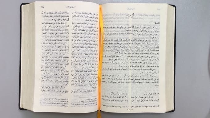 ARABIC BIBLE GNA067DC - 2