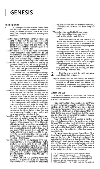 NIV GIFT & AWARD BIBLE BLACK - 3