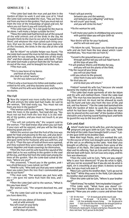 NIV GIFT & AWARD BIBLE BLACK - 4
