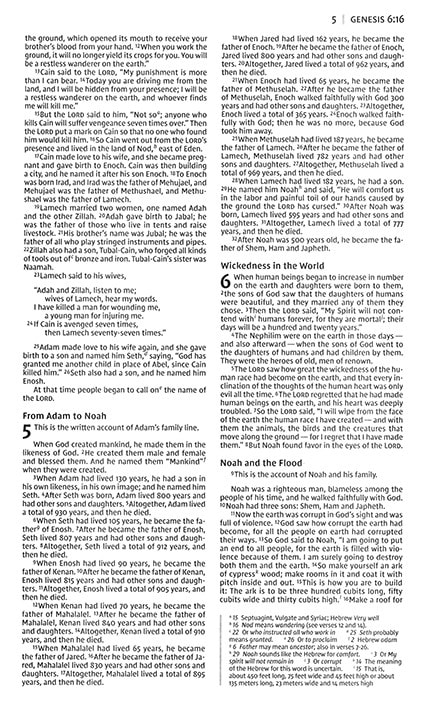NIV GIFT & AWARD BIBLE BLACK - 5