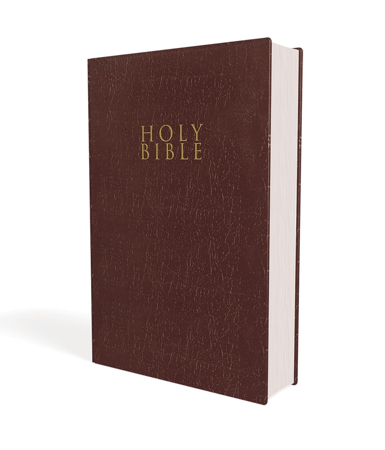 NIV GIFT & AWARD BIBLE BURGUNDY - 3