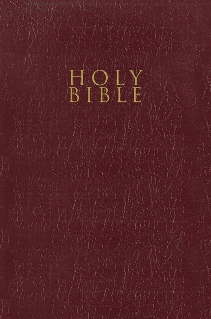 NIV GIFT & AWARD BIBLE BURGUNDY - 2