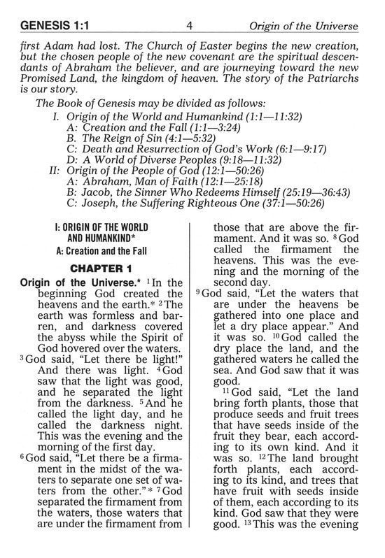 NCB The New Catholic Bible Giant Black 617/19B - 4