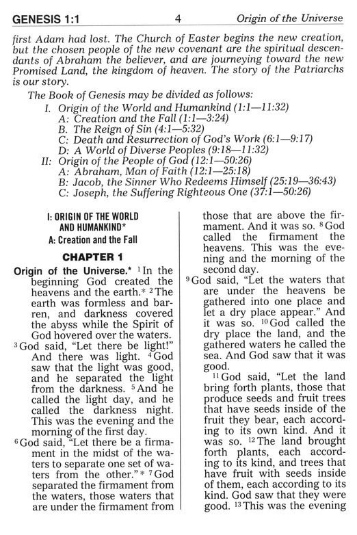THE NEW CATHOLIC BIBLE NCB GIANT FLEXIBLE 617/04 - 5