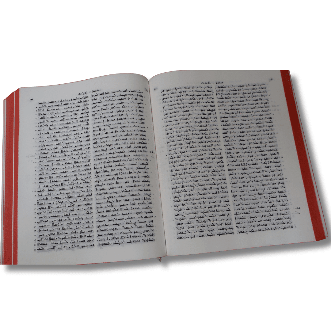 SYRIAC BIBLE 63DC - 4