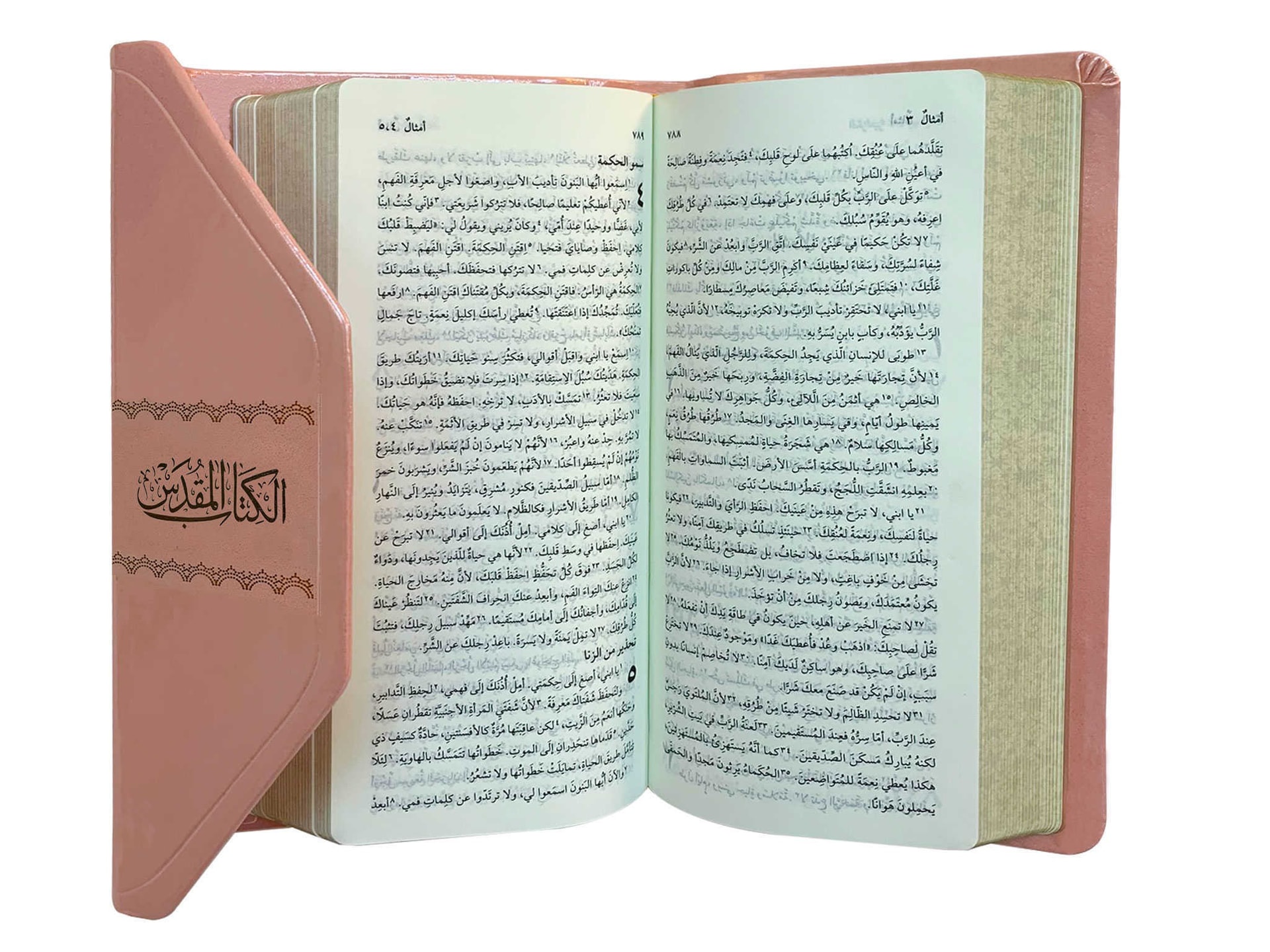 كتاب مقدس عربي للشباب NVD25M - 3